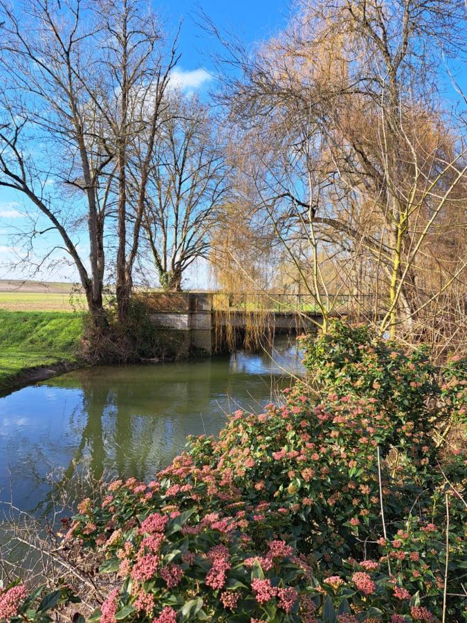 Le Moulin Etourneau - 3 Gites Avec 2 Piscines Champagnac  Bagian luar foto